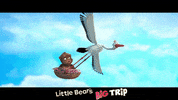 Flying Family Film GIF by Signature Entertainment