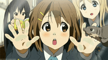 k on turtles GIF