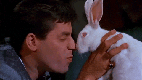 mataduarte giphyupload rabbit jerry lewis frank tashlin GIF