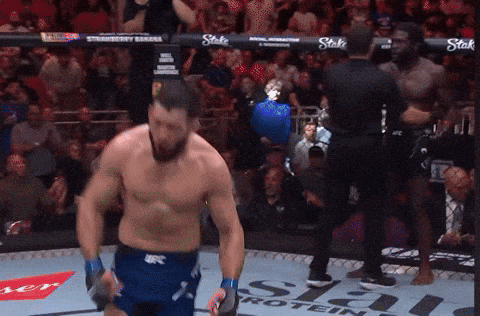 Fight Ufc GIF by promaslist