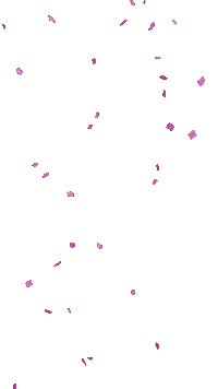 Pink Confetti Sticker