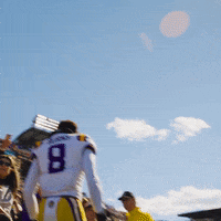 Ncaa Football GIF by LSU Tigers
