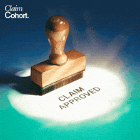 claimcohort insurance policy coverage insurance policy GIF