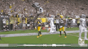 Green Bay Packers Football GIF by NFL