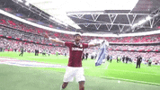 AstonVillaFC sports football sport soccer GIF