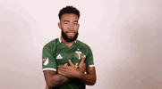 celebrate portland timbers GIF by Timbers