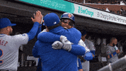 Major League Baseball Hug GIF by MLB