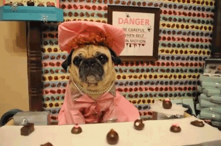 chocolate friend GIF