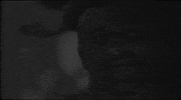 Haircut GIF by Circa Survive