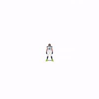 Super Bowl Football GIF by Panini America
