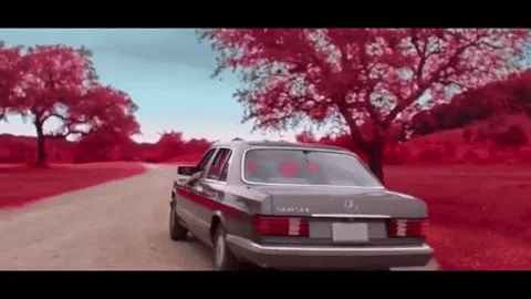 pink driving GIF by Lukas Nelson