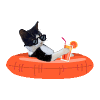 Happy Cat Sticker