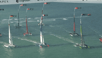Racing GIF by SailGP