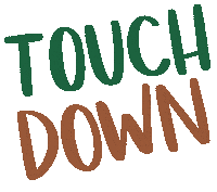 Touch Down Super Bowl Sticker