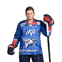 Reichel Sticker by Adler Mannheim