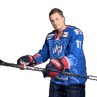 Reichel Sticker by Adler Mannheim