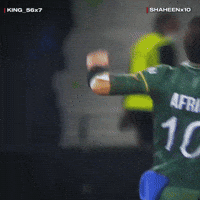 Brisbane Heat Eagle GIF