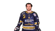 Zellamsee Ekz Sticker by EK Zeller Eisbären