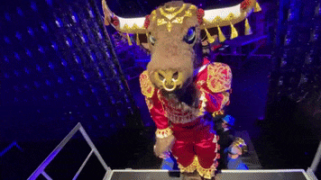 Season 6 Mask GIF by The Masked Singer