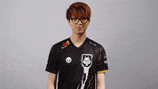 League Of Legends GIF by G2 Esports