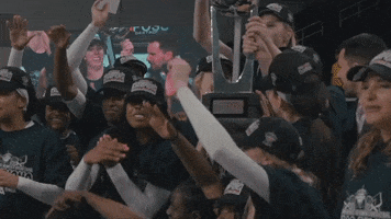 Rice University Celebration GIF by Rice Owls