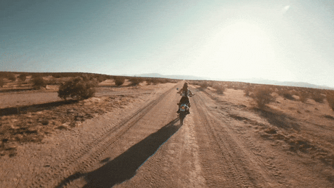 Ride Or Die Band GIF by Thriller Records