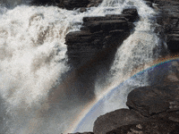 Zaunteam Sichere Loesungen Nutztiere Hobby GIF by FranchiseONE.de