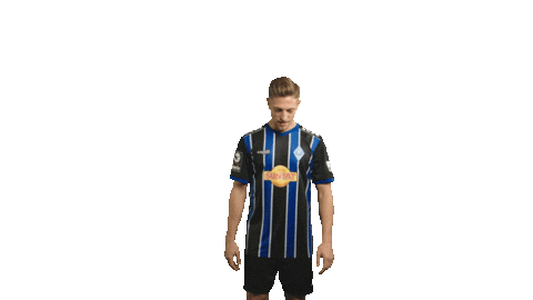 svwaldhofmannheim giphyupload fussball jubel tor Sticker