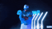 North Carolina Baseball GIF by UNC Tar Heels