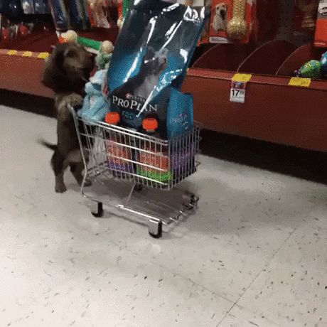 shopping cart GIF