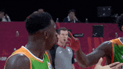Fiba World Cup 2019 No GIF by FIBA