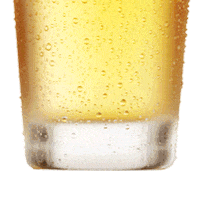 beer love Sticker by Zaječarsko