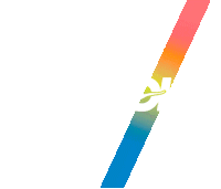 Ccc Occ Sticker by HOKA