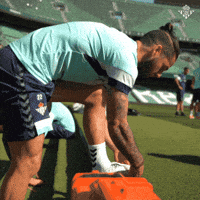 Real Betis Ok GIF by DAZN