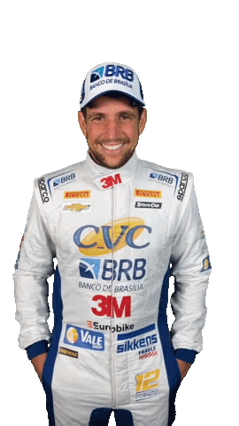 Stock Car Race Sticker by lucasforesti