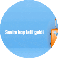 tatilibaslat holidays summertime tatil tatilibaşlat Sticker