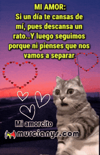 Descansa Mi Amor GIF by Murcianys LLC