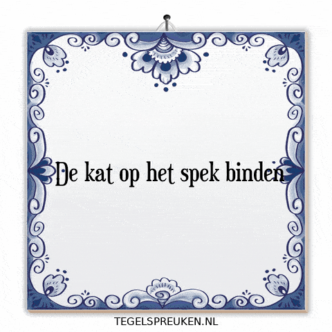 Humor Kat GIF by Tegelspreuken.nl