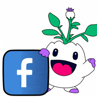 Follow Us Youtube GIF by Magic Eden