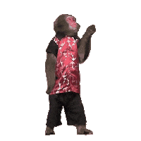 Fun Monkey Sticker