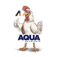 Teutonia Sticker by American Nutrients