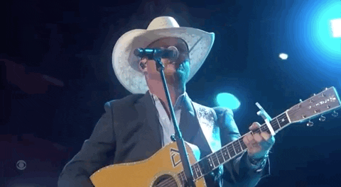Cmt Awards 2022 GIF by CMT Music Awards