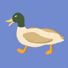 SunnyDayAhead  GIF