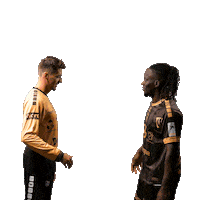 Handball Dunkerque Sticker by USDK