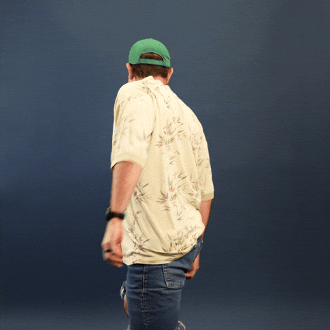 Look Around Wow GIF by Showit