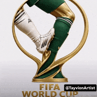 Fifa World Cup Messi GIF