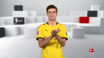 GIF by Bundesliga
