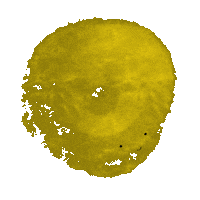 florine_design happy sun yellow soleil Sticker