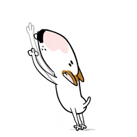 Bull Terrier Dog GIF by Jimmy the Bull