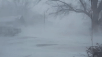 Iowa Experiences Blizzard Conditions